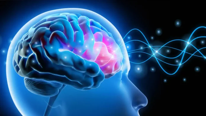 world-brain-day.webp
