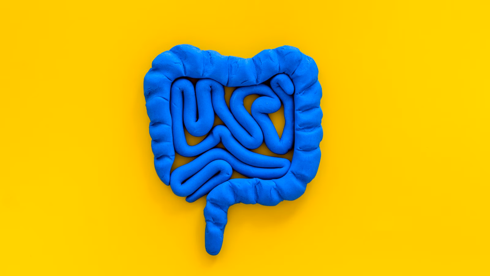 Intestine well being: How your microbiome influences hormones