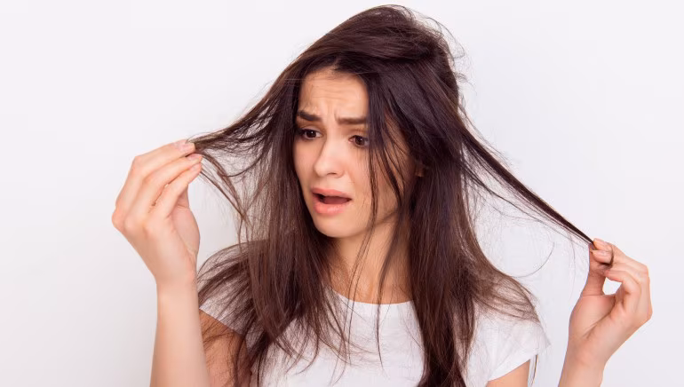 Untimely gray hair and thinning: Function of genetics and coverings