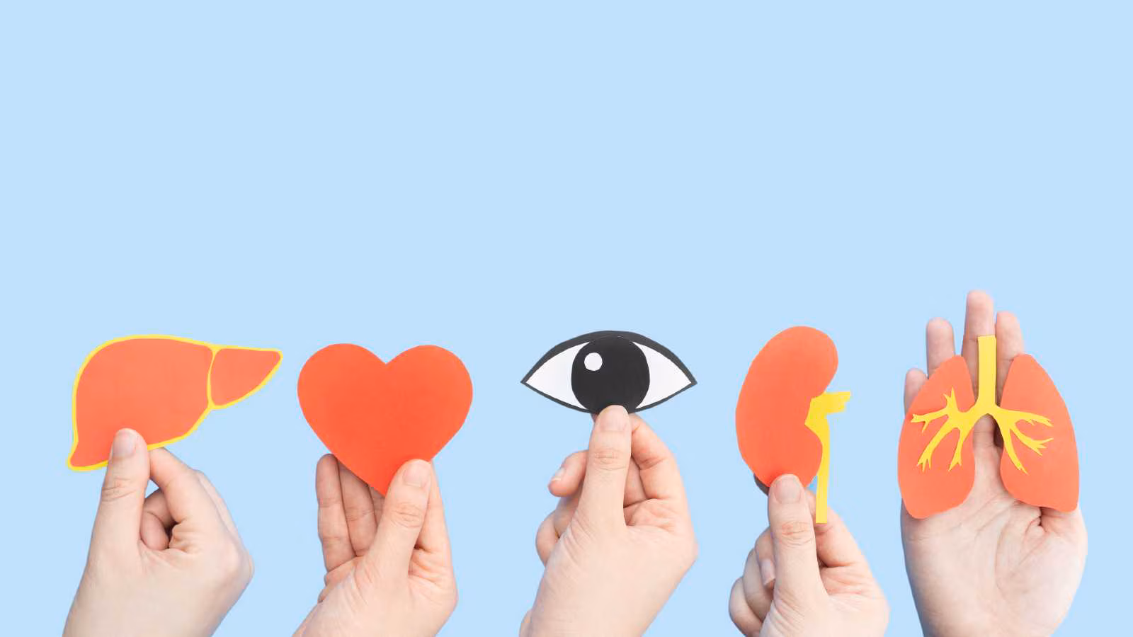 Navigating conversations round organ donation: Why they matter